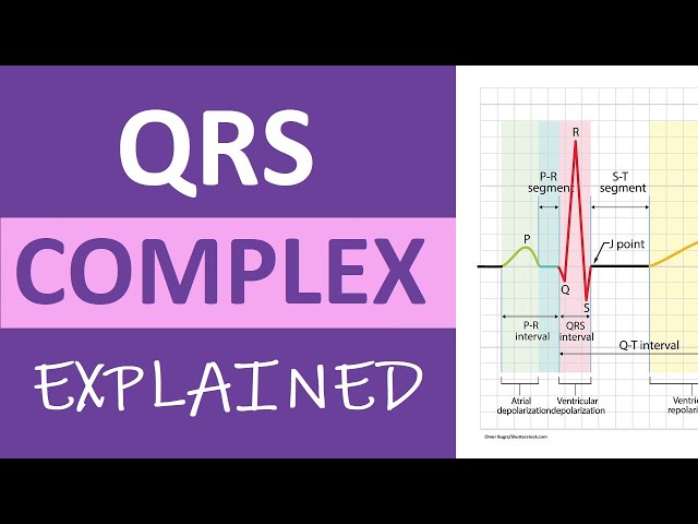 QRS Complex ECG Interpretation & Measurement Explained | ECG Nursing ACLS NCLEX