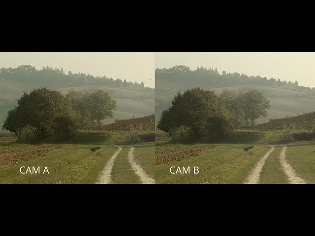 Blackmagic Pocket Cinema Camera 4K vs Panasonic GH5S (camera test)