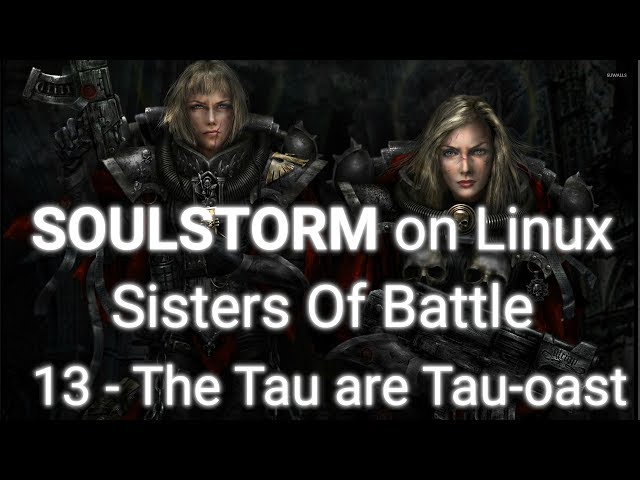 Soulstorm on Linux - 13 - Tau-oasting the Tau