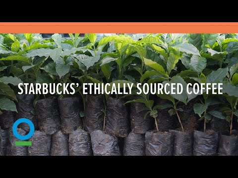 Follow Starbucks’ 15 Year Journey to 100% Ethically Sourced Coffee | Conservation International