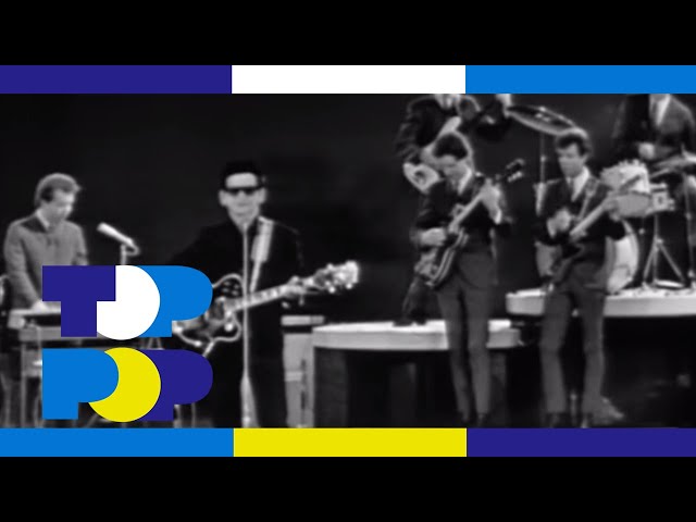 Roy Orbison - Oh Pretty Woman (Live) • TopPop