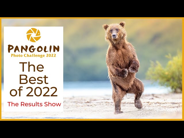The Best of 2022 Results Show | Pangolin Photo Challenge 2022