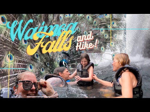 Hike with us to Waimea Falls