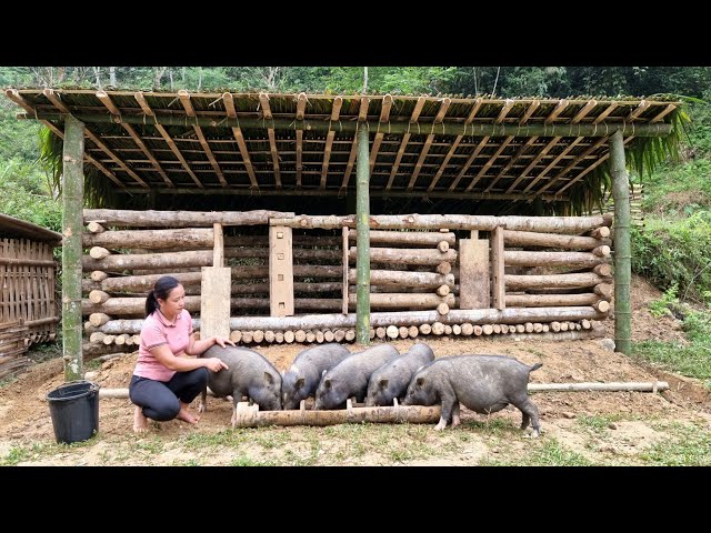 FULL VIDEO: 45 Days Build a House for Pig, Chicken, Bamboo House 2022, Wood Fence