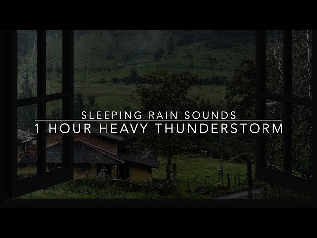Sleeping Rain Sounds - Heavy Rain & Thunder from an Open Window - 1 hour rain sounds for Sleep