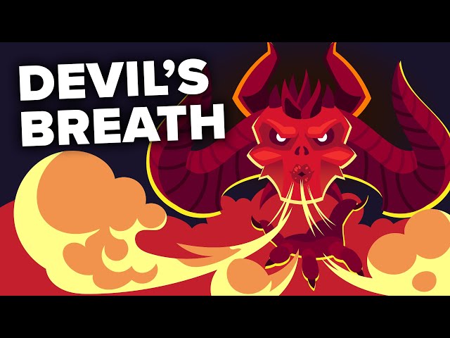 Devil’s Breath - World’s Scariest Drug?