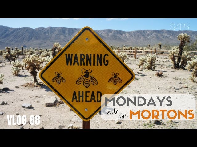 Red Rocks, Bees, Bombs, Toxic Lakes and Lots of Flowers! Spring 2017 - Mondays S4E5/Travel VLOG 88
