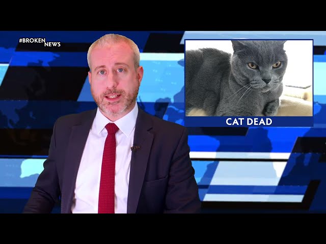 #BrokenNews: Cat Death Dominates UK News - Larry and Paul