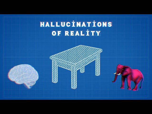 Hallucinations of Reality