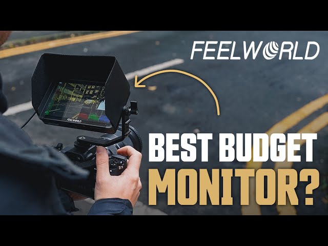 Feelworld F6 Monitor Review: Best Budget Camera Monitor? Yay or Ney