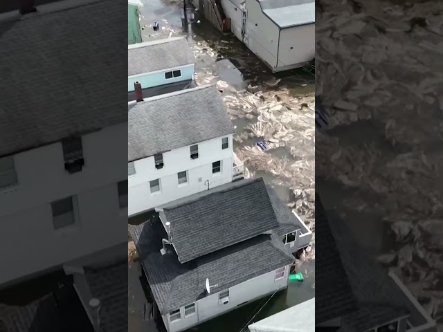 Drone shows flooding in New Hampshire coastal town