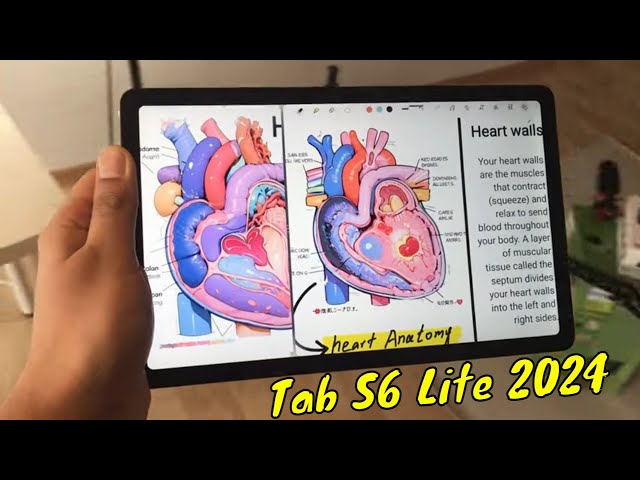 Samsung Galaxy Tab S6 Lite 2024 Edition - 20 Powerful Features