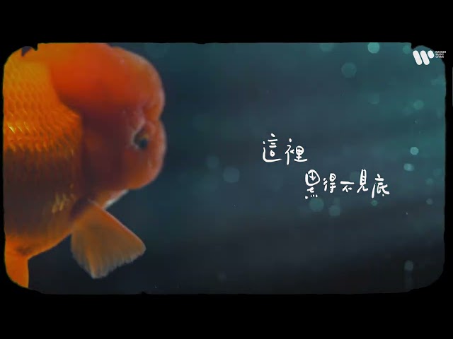 江美琪 Maggie Chiang 《 魚缸 》feat.椅子樂團 Official Music Video