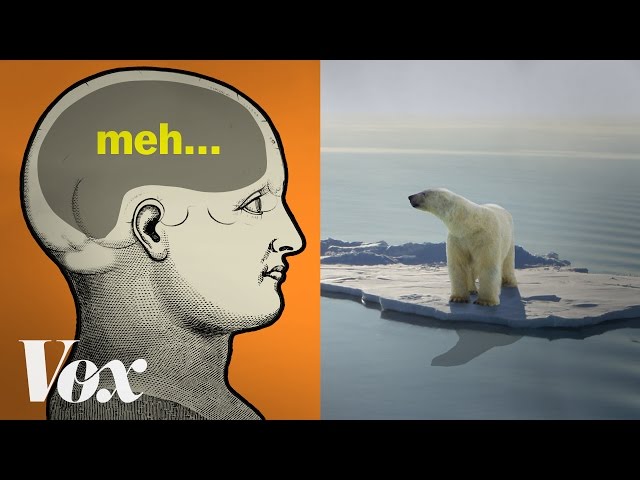 Why humans are so bad at thinking about climate change