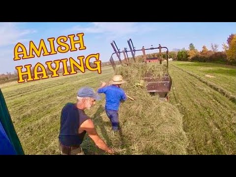 Dealings with the Amish Community