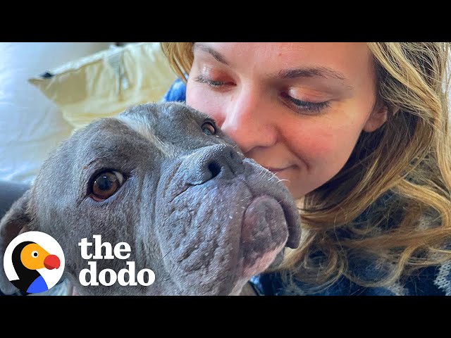 Neglected Puppy Goes On Shopping Spree | The Dodo