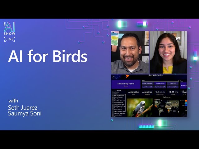 AI Show | AI for Birds