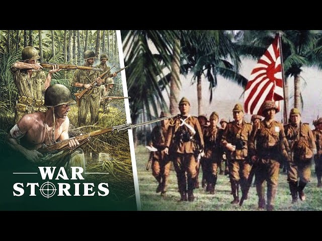 America Vs Japan: The Struggle For New Guinea | Battlezone | War Stories
