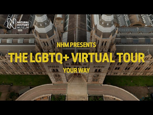 The Natural History Museum's LGBTQ+ interactive virtual tour | Start here