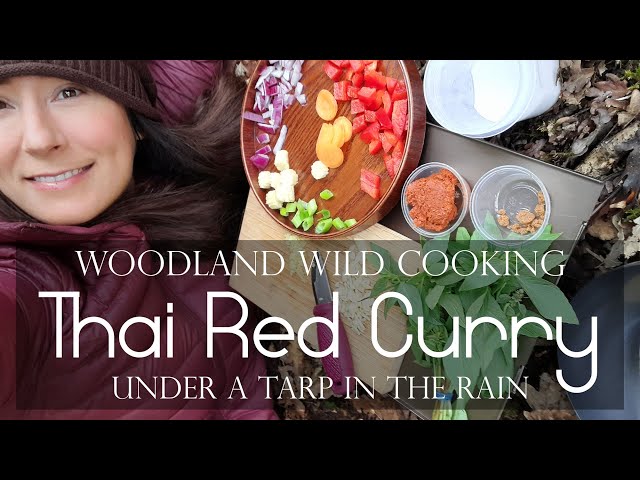 Thai Red Curry In The Rain Under A Tarp! | Woodland Wild Cooking & Some Random Thoughts On Happiness