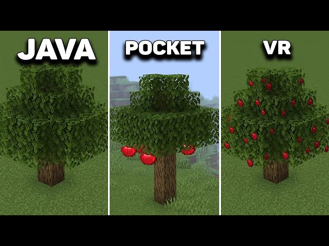Java vs Pocket vs VR
