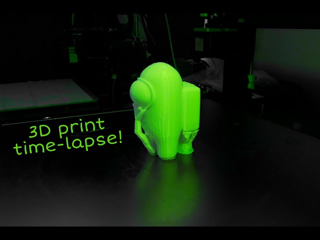 3D printer time lapse video system!