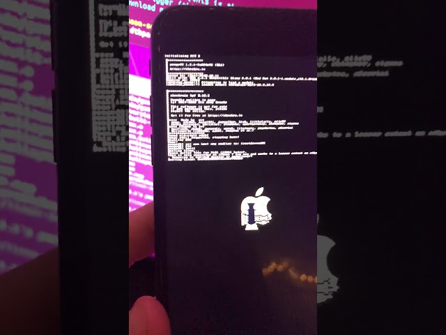 iPhone 7 booting Ubuntu 20.04 (to tty/command line)