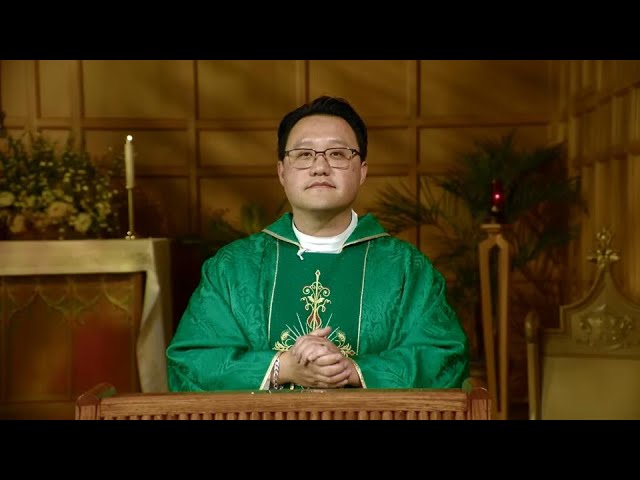 Sunday Catholic Mass Today | Daily TV Mass, Sunday July 16, 2023