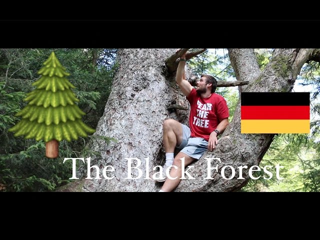 My Trip To THE BLACK FOREST