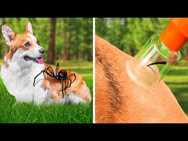 OMG! EMERGENCY HACKS FOR PET OWNERS || USEFUL HACKS AND GADGETS FOR SMART PET LOVERS