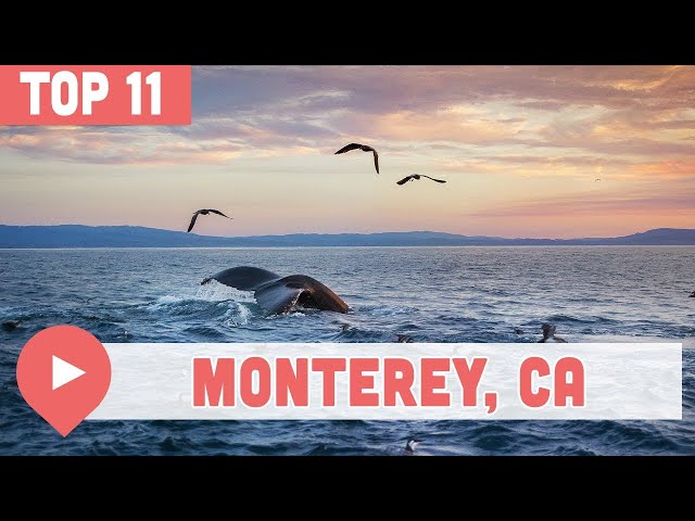 11 Best Things to Do in Monterey, California