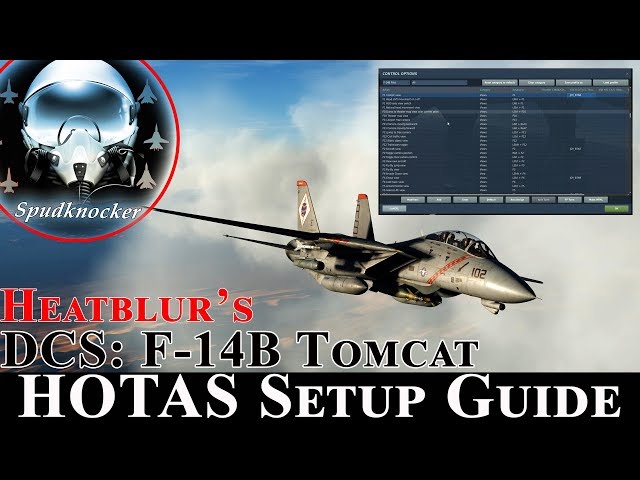 DCS: F-14B Tomcat | In Depth HOTAS Setup Guide!
