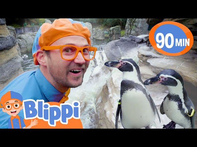 At the Penguin Zoo With Blippi | Blippi and Meekah Best Friend Adventures | Animal Videos for Kids
