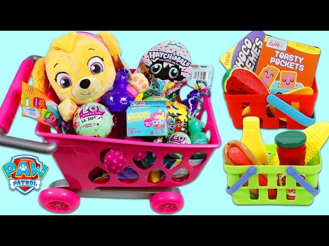 PAW PATROL Pup Baby Skye Goes Shopping for Groceries!