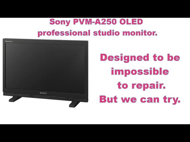 Sony PVM-A250 Professional OLED monitor, unfixable by design.