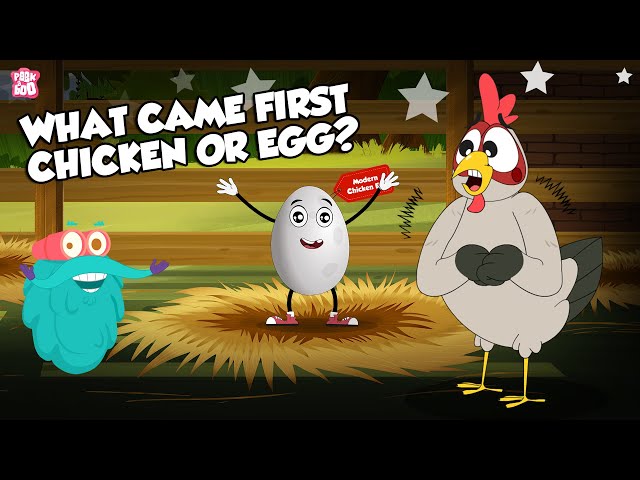 What Came First The Chicken or The Egg? | The Most Confusing Question | The Dr. Binocs Show