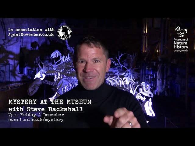 Mystery at the Museum with Steve Backshall - Trailer 2
