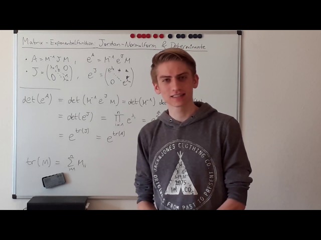 Matrix-Exponentialfunktion Teil 3: Jordan-Normalform und Determinante