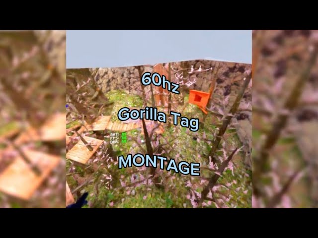 60hz (GTAG Montage)