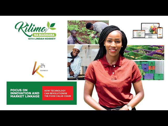 Focus on Innovation and Market Linkage | Kilimo na Biashara