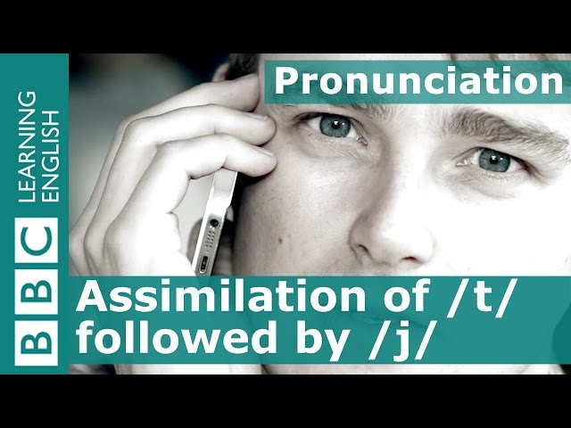 Pronunciation: Assimilation of /t/ and /j/