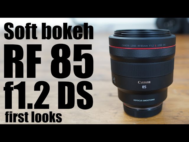 Canon RF 85mm f1.2L DS preview: SOFT BOKEH lens for EOS R