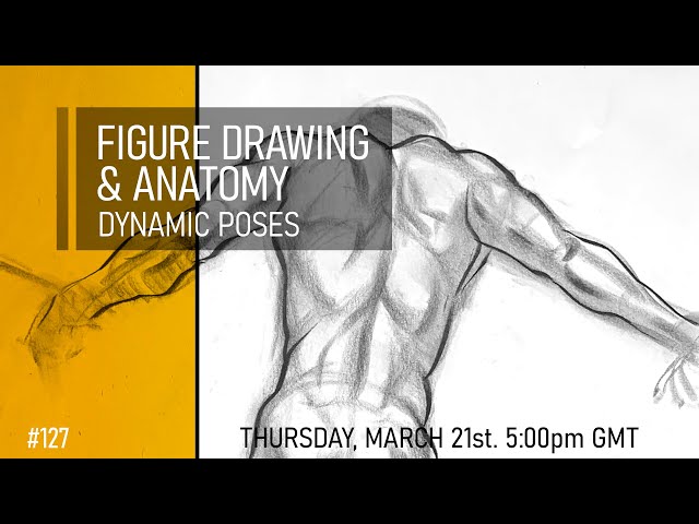 Figure Drawing & Anatomy - Dynamic Poses #127