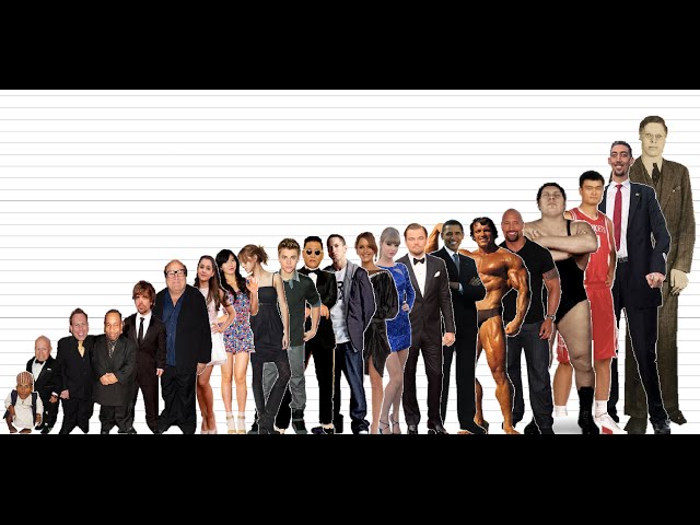 Celebrity Height Comparison Chart (10K Subscribers Special)