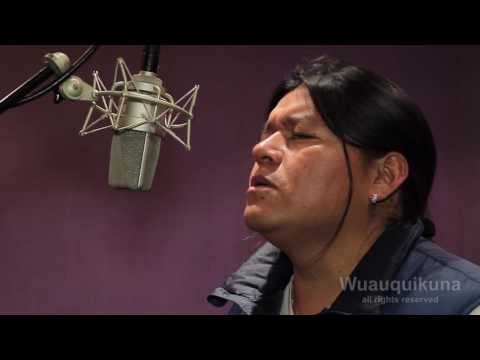 Wuauquikuna (Music of the Andes),Vol.X