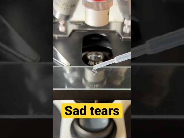 Tears of sadness will blow your mind
