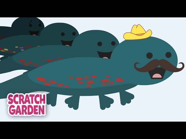 ALL THE KINDS OF SALAMANDERS IN THE WORLD! | Scratch Garden