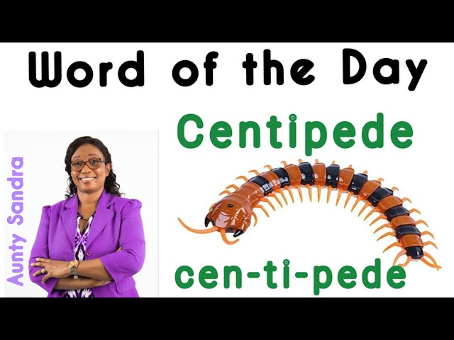 Word of the Day | Centipede | Learn to Read | Blending Letter Sounds | Breaking Words in Syllables