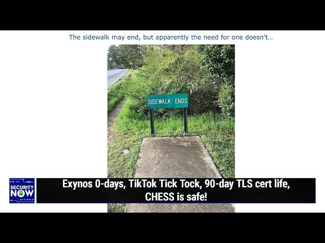 Flying Trojan Horses - Exynos 0-days, TikTok Tick Tock, 90-day TLS cert life, CHESS is safe!