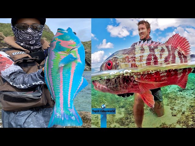 Top 10 Most Unusual And Weird Fish Caught In Ocean You Can't Seen Before